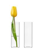 H-6" W-2" Glass Cylinder Bud Vase (Multiple Packing)