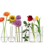 Set of 6 Assorted Glass Bud Vases (Multiple Shapes), Pack of 12 Sets