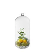 glass hanging terrarium vase