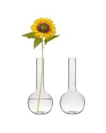 H-5.5" W-2.5" Mini Glass Flower Bud Vase (Pack of 72)