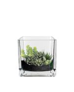 Glass Cube Vase H-4" Open-4" Votive Candle Holder (Multiple Packing)