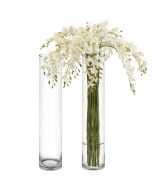 glass cylinder vases 32 inches tall 6 inches diameter