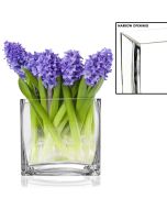 glass rectangle vases