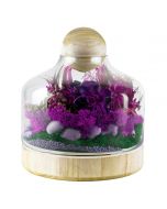 glass terrarium vases with wood stopper and base