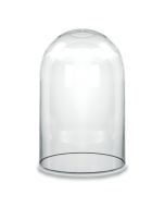 glass domes cloches