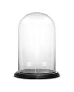 Glass Dome Cloche Bell Showcase Display w/ Black Wood Base