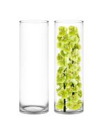 30 inches tall with 10 inches diameter glass cylinder vase