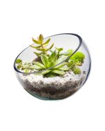 slant cut glass bowl