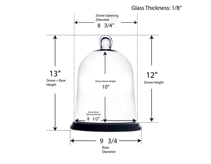 Plastic Dome Display with Clear Base, 8-1/2-Inch, X-Large