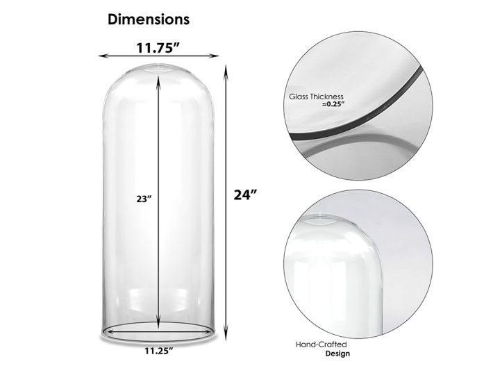 https://vasemarket-c3e2.kxcdn.com/pub/media/catalog/product/cache/6760ab2d41200b5bf8926d539a731a98/g/l/glass-cloches-domes-display-gdo109-dim.jpg