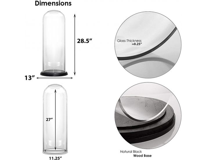 Decorative Clear Glass Display Dome with LED Wooden Base 2Pcs/Set 2 Sizes