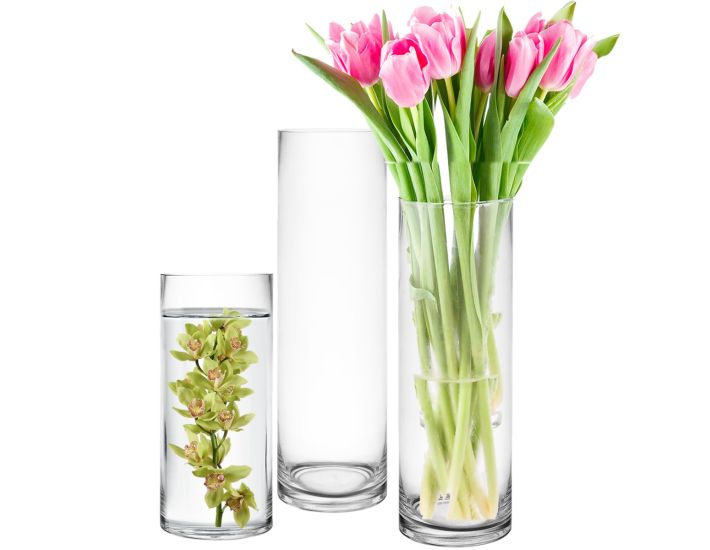 Glass Cylinder Vases Set of 3, H-9