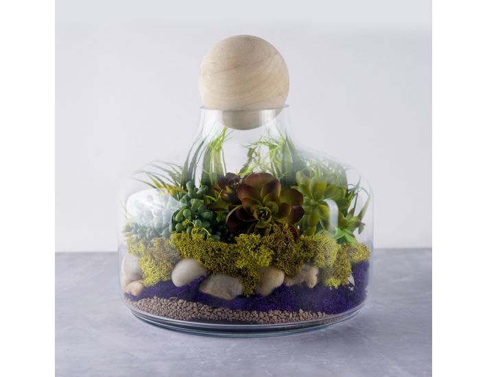 Cathy's Concepts Glass Succulent Terrarium with Wood Ball 