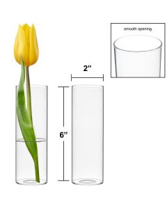H-6" W-2" Glass Cylinder Bud Vase (Pack of 72)