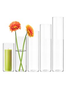 3" Wide Glass Cylinder Bud Vase, H-8", 10",12",14",16" (Pack of 24 pcs)