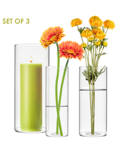 Set of 3 Glass Cylinder Bud Vases (Pack of 36 Sets), Multiple Heights