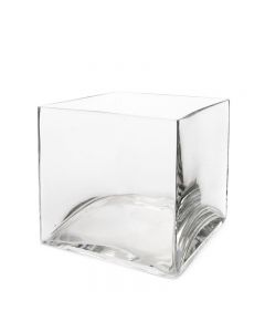 Large Glass Cube 8 inches Vase
