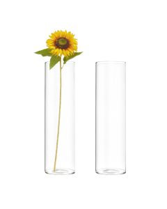 H-12" W-3" Glass Cylinder Bud Vase, Mini Flower Tabletop Vase (Pack of 18 pcs)