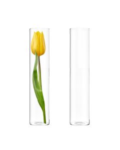 H-16" W-3" Glass Cylinder Bud Vase, Mini Flower Tabletop Vase (Pack of 18 pcs)