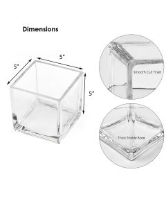 5" x 5" x 5" Clear Glass Cube Vase (Pack of 12)