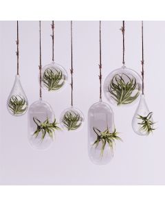 Glass Hanging Plant Terrarium, Tealight Candle Holder (Multiple Size Options)