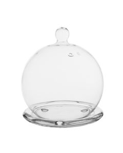 mini glass cloche dome