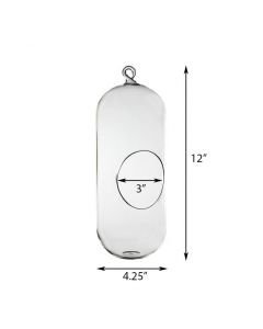 Glass Hanging H-12" Terrarium Capsules Vase (Multiple Packing)