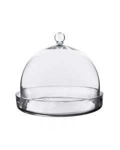 glass-cloche-bell-terrarium-with-tray