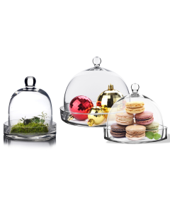 glass-cloche-bell-terrarium-with-tray