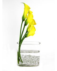 glass-round-rectangle-vase-GCU038