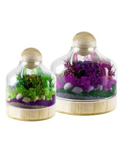 Glass Dome Terrarium Vase With Wood Base And Stopper , H-10" x W-7" or H-11" x W-9",  Pack of 2 pcs