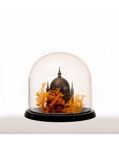 Glass Display Dome Cloche Bell Jar w/ Black Wood Base H-11",16",20",25",29" D-11" 