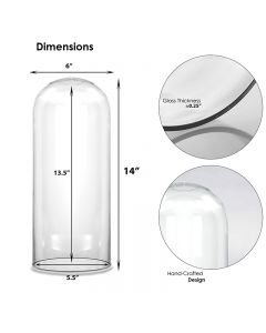14 inches glass dome cloches