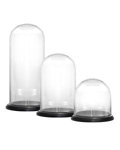 glass cloches domes spring