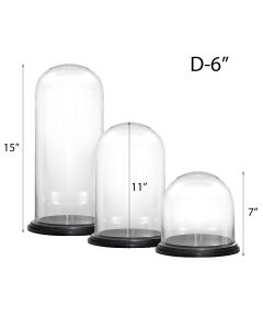 glass cloches domes spring