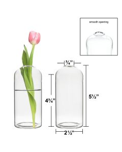 H-5.5" W-2.5" Glass Dome Bullet Bud Vase (Pack of 72)