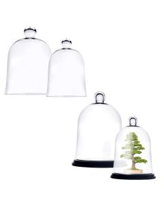 Glass Cloche Dome Terrarium Bell Jar w/ Black Wood Base Option (Multiple Size Options), Pack of 2 pcs 