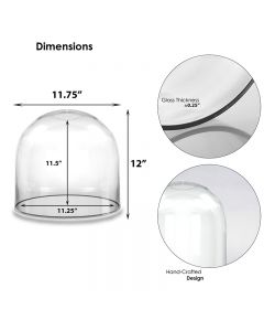 Glass cloches domes display wood base black

