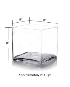 Large Glass Cube 8 inches Vase