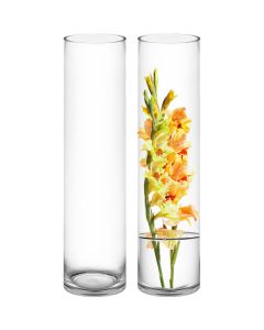 glass cylinder vases 26 inches and 6 inches diameter
