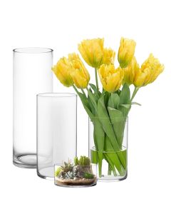 Glass Cylinder Vases. D-8", H-4",12",16",22", Pack of 6 pcs