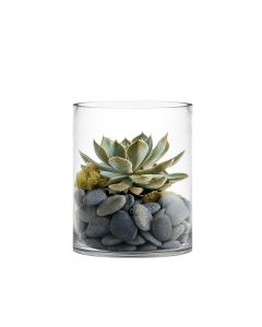 glass cylinder vases wide opening