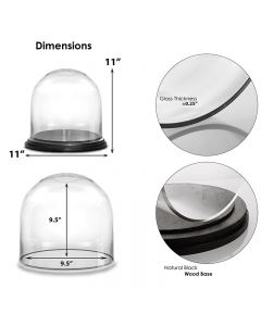 Glass Dome H-11" D-11" Cloche Bell Showcase Display w/ Black Wood Base