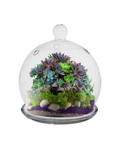 mini glass cloche dome