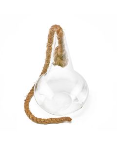 glass hanging teardrop plant terrarium with rope