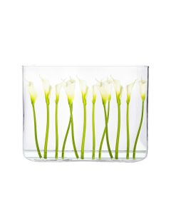 glass rectangle vase