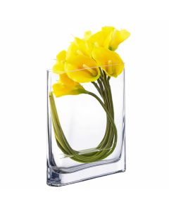 rectangle glass vases