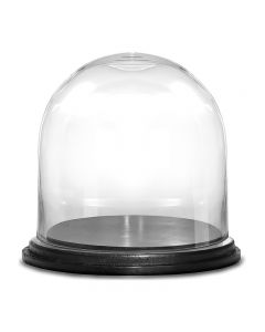 Glass Dome H-11" D-11" Cloche Bell Showcase Display w/ Black Wood Base