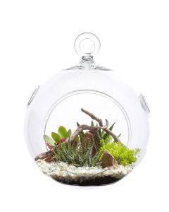 Hanging-glass-plant-terrarium-glass-orbs-gch101-08