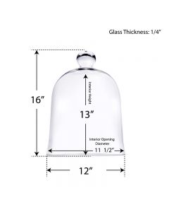large glass cloches bell jars